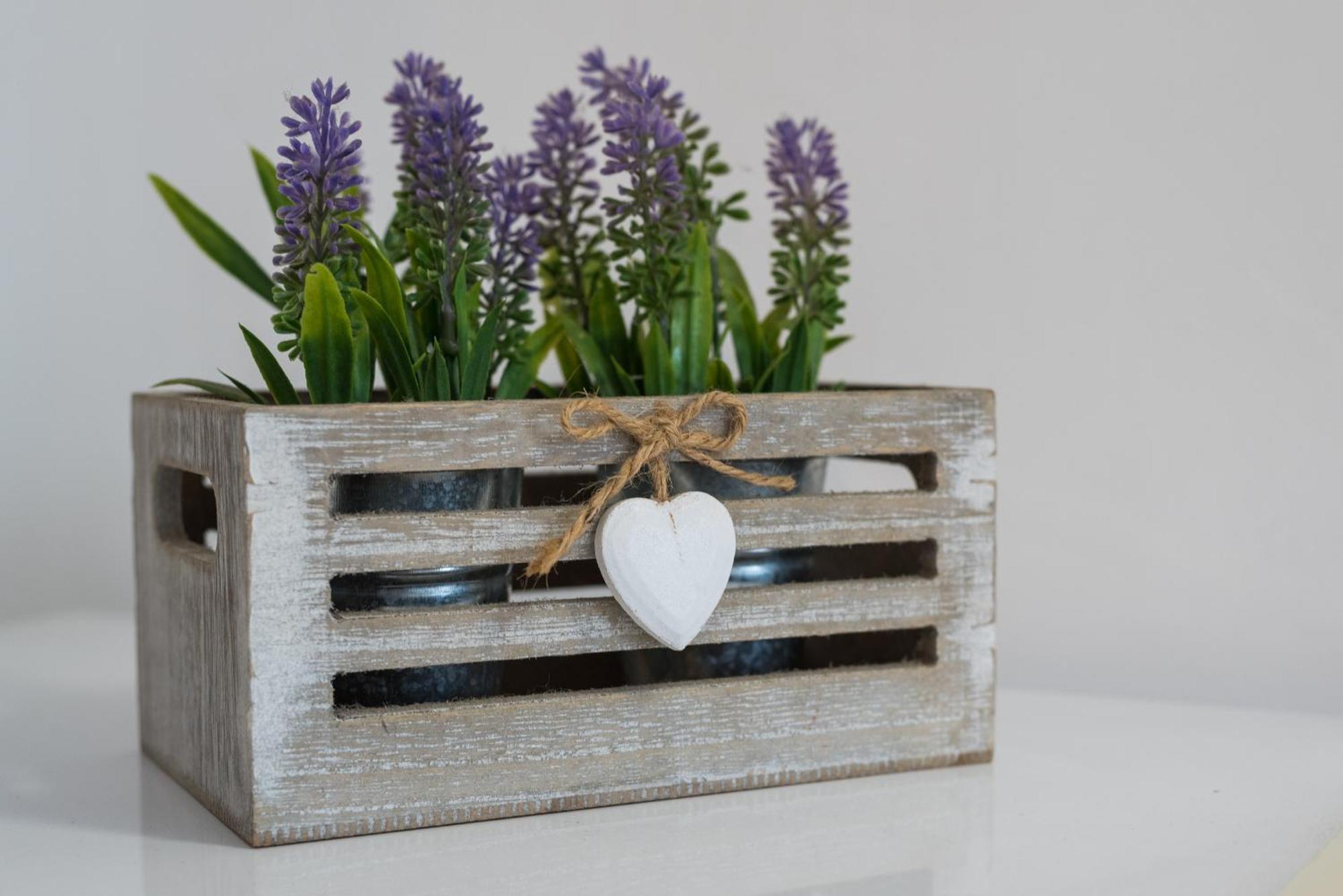Travelershome Ciampino 170 Station Street Екстериор снимка